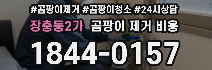 장충동2가 곰팡이 제거 비용