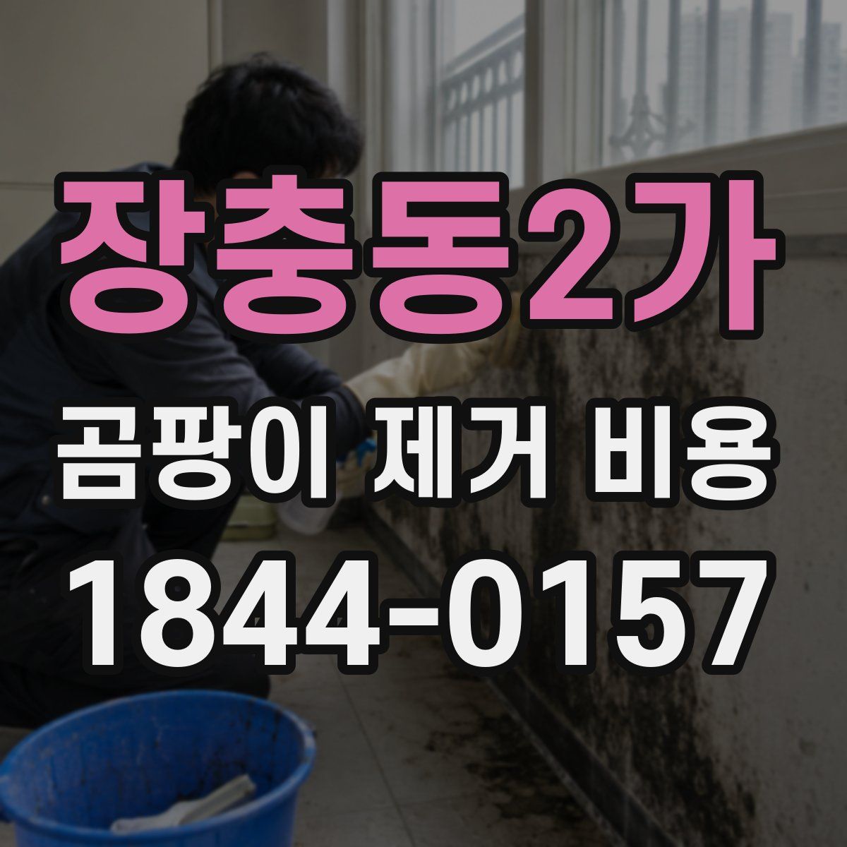장충동2가 곰팡이 제거 비용