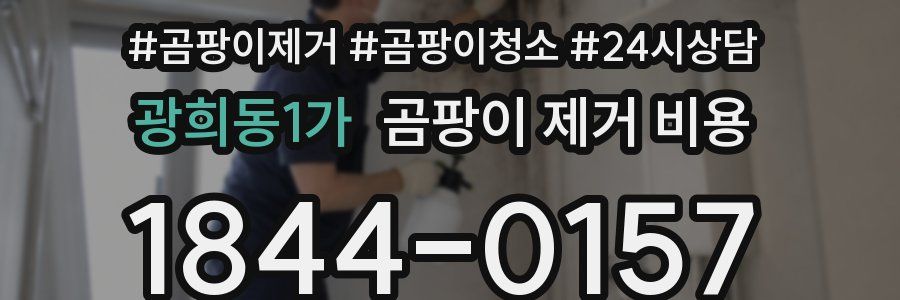 광희동1가 곰팡이 제거 비용