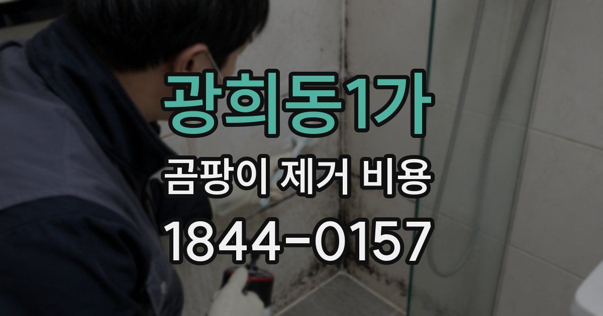 광희동1가 곰팡이 제거 비용