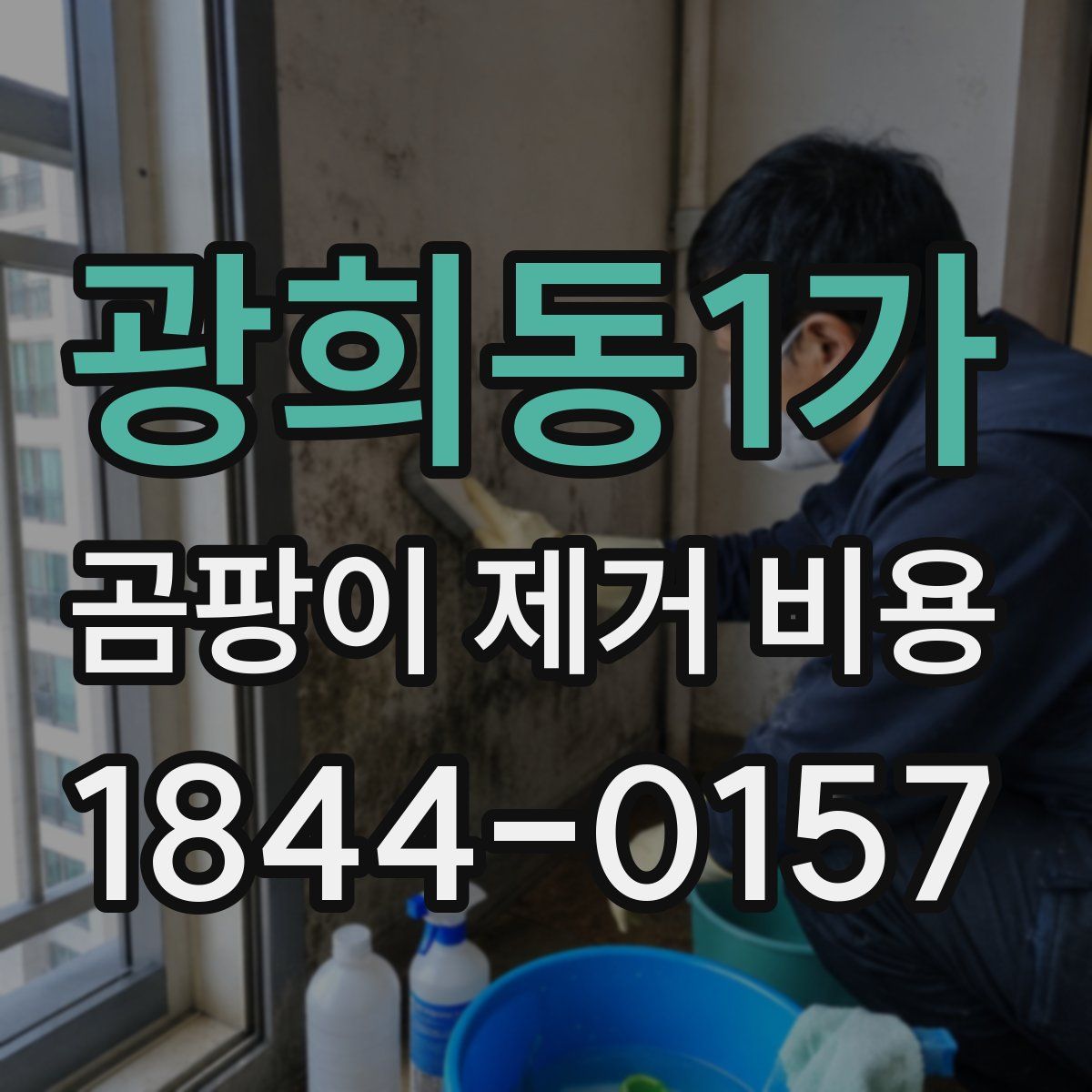 광희동1가 곰팡이 제거 비용