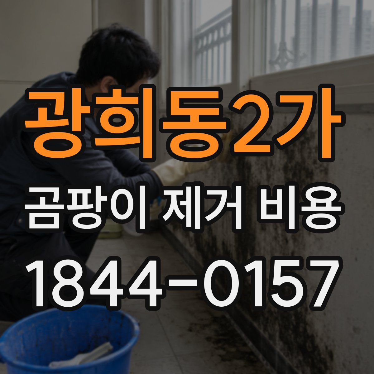 광희동2가 곰팡이 제거 비용