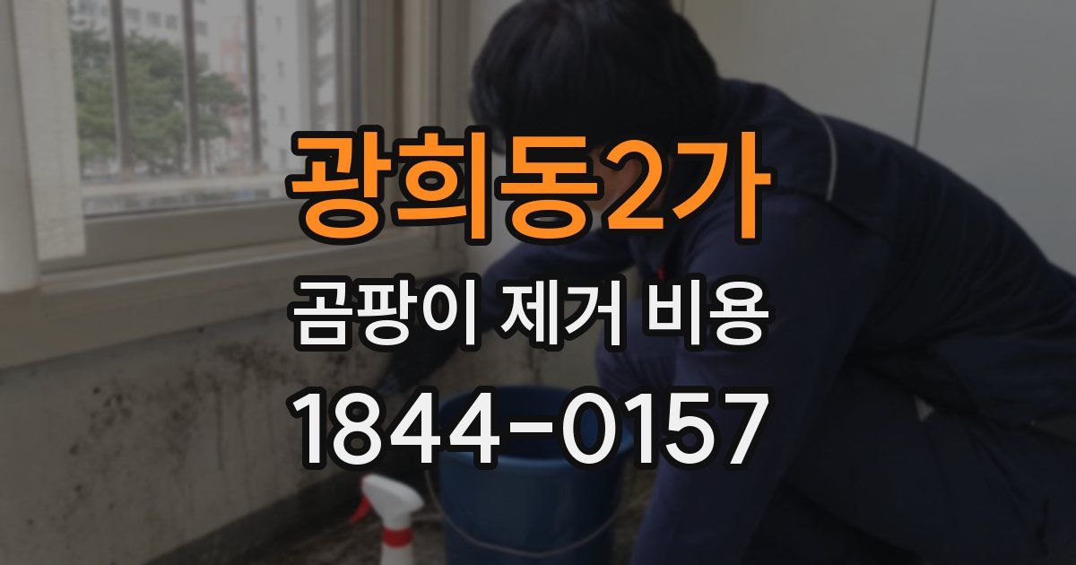 광희동2가 곰팡이 제거 비용