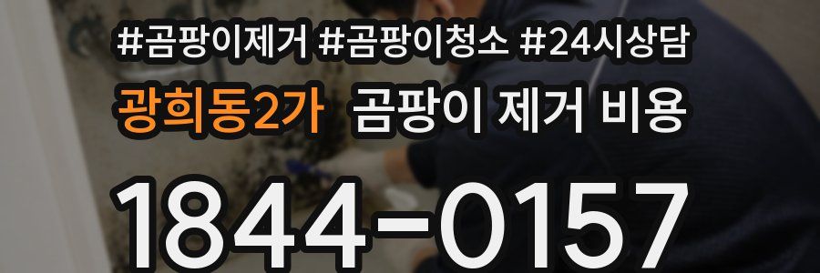 광희동2가 곰팡이 제거 비용