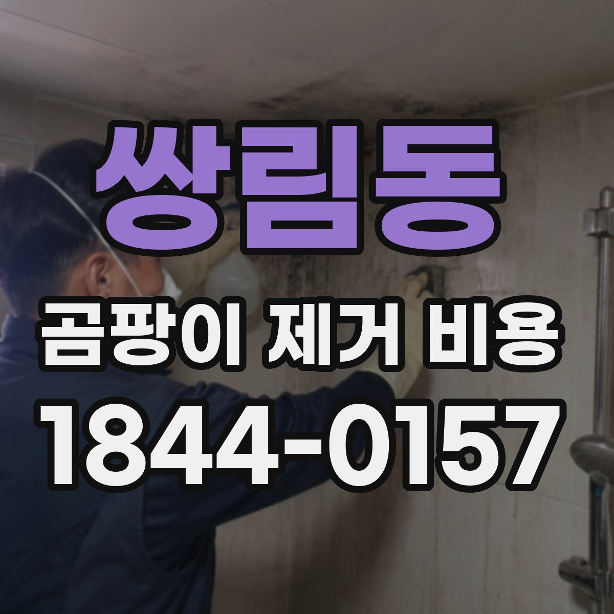 쌍림동 곰팡이 제거 비용