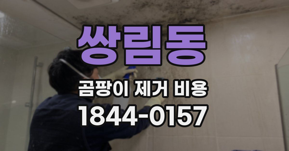 쌍림동 곰팡이 제거 비용
