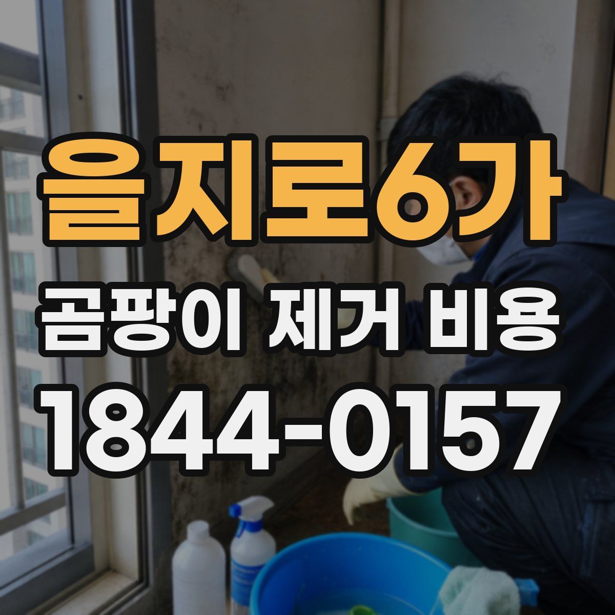 을지로6가 곰팡이 제거 비용