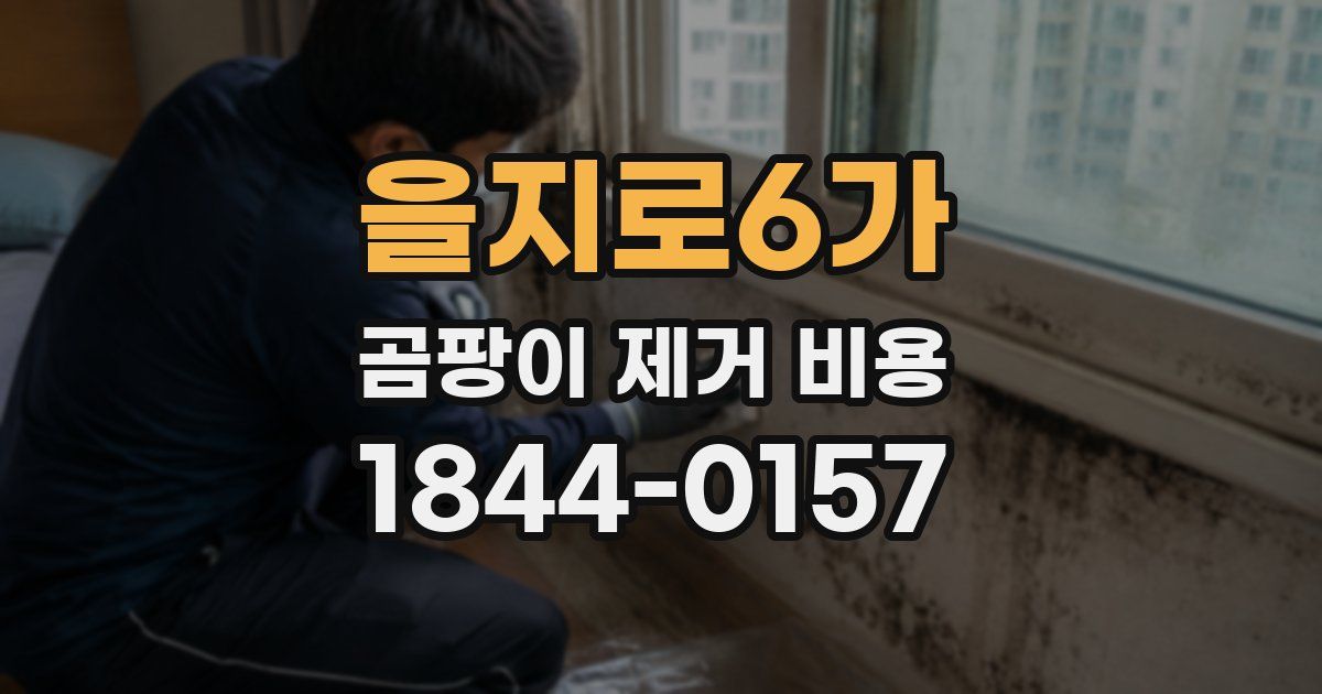 을지로6가 곰팡이 제거 비용