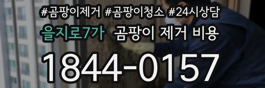 을지로7가 곰팡이 제거 비용