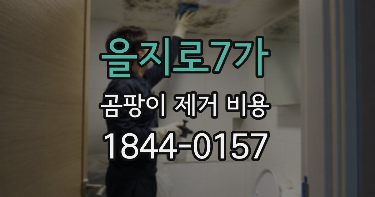 을지로7가 곰팡이 제거 비용