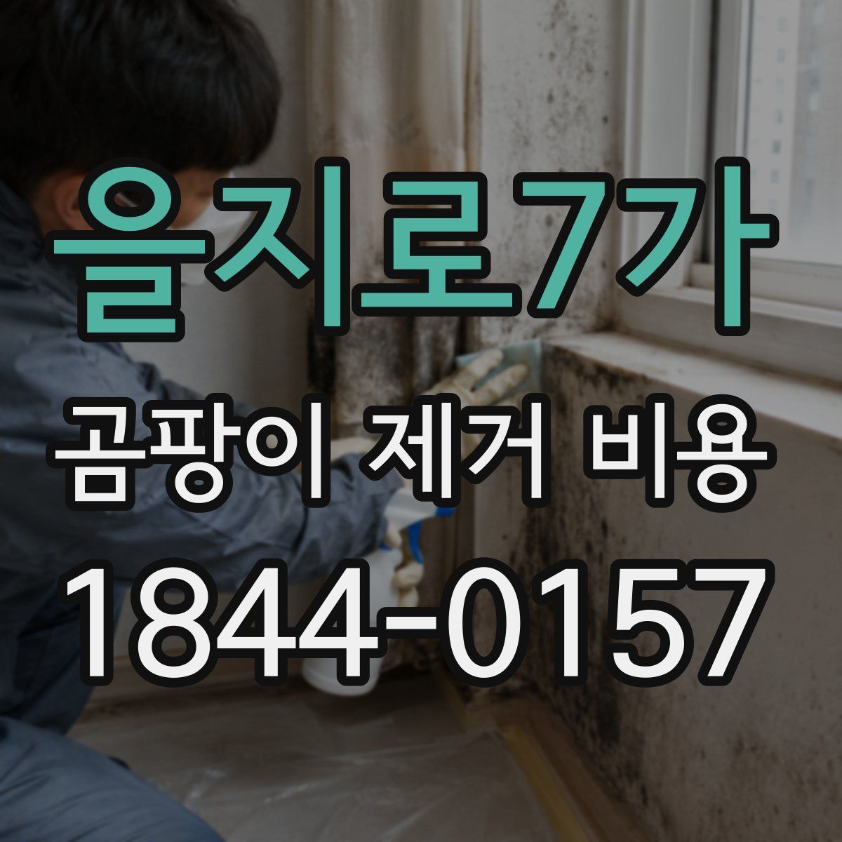 을지로7가 곰팡이 제거 비용