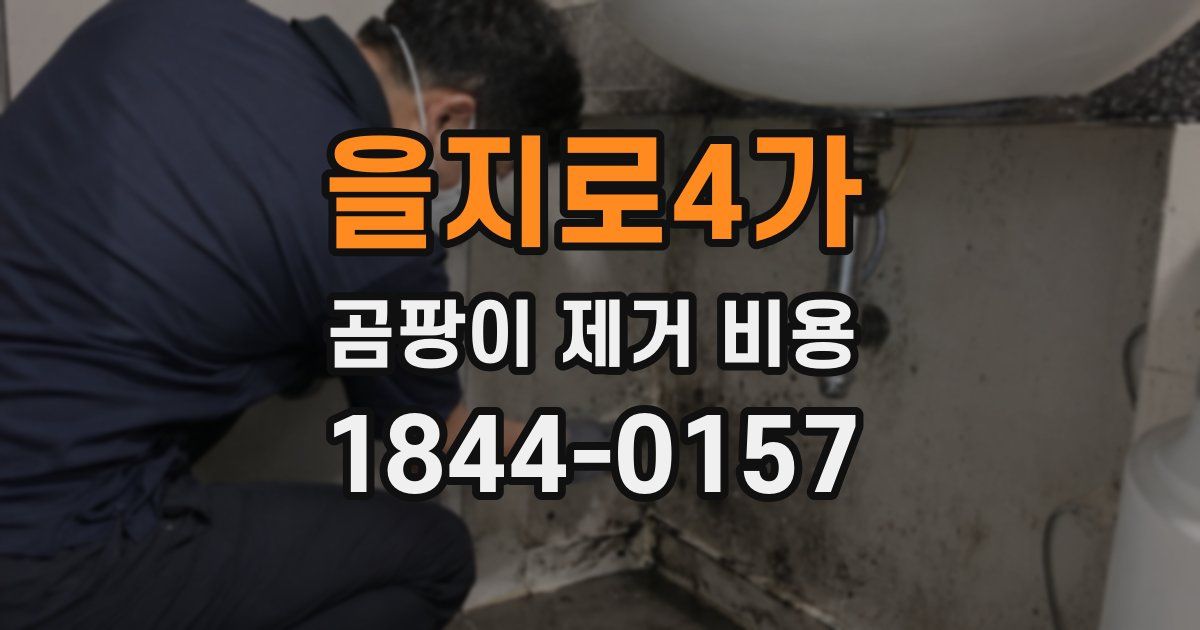 을지로4가 곰팡이 제거 비용