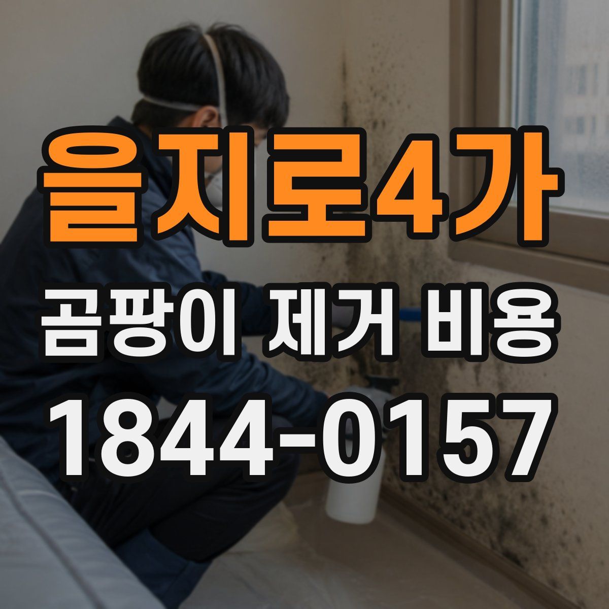 을지로4가 곰팡이 제거 비용