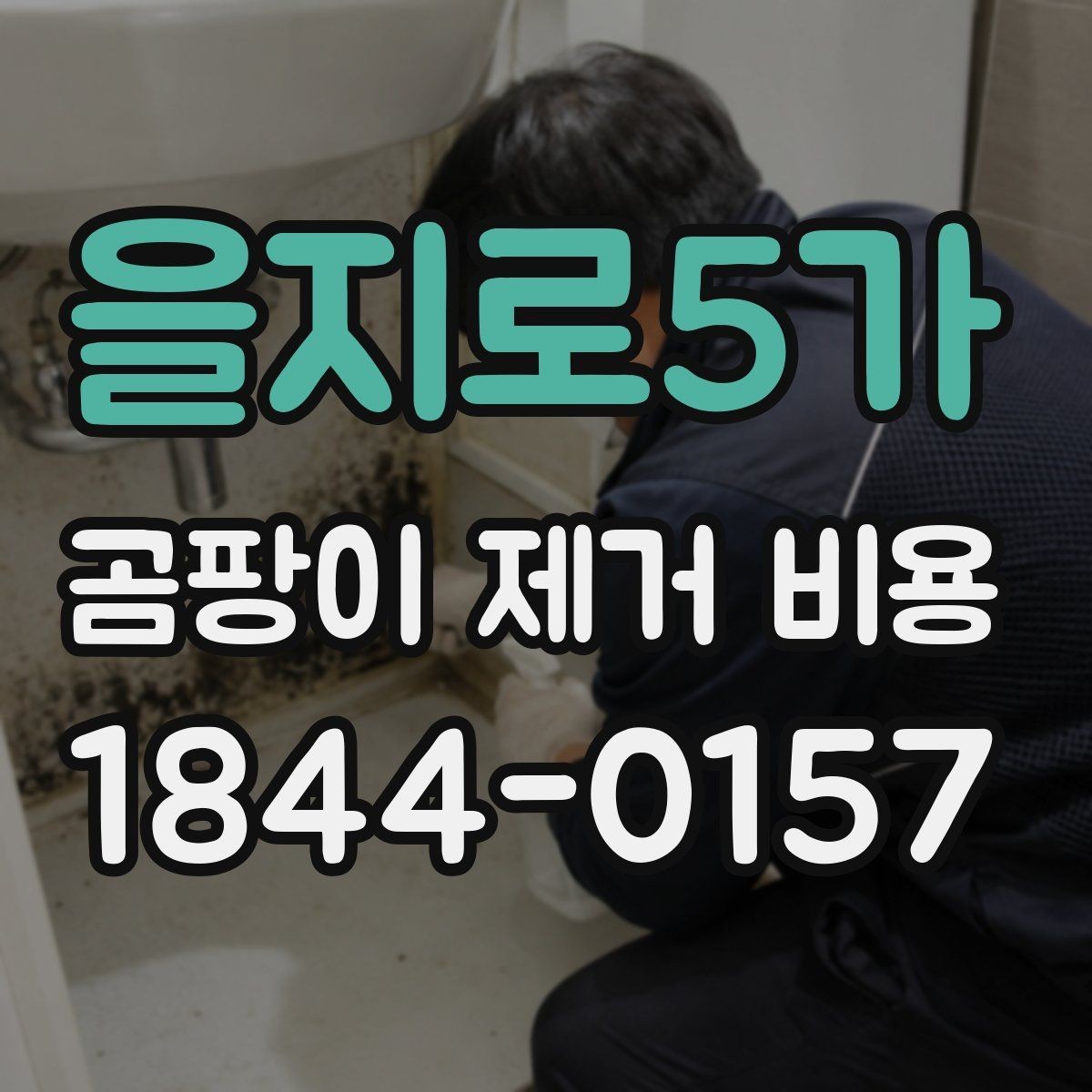 을지로5가 곰팡이 제거 비용 냄새 제거와 원인 차단을 함께 볼 때