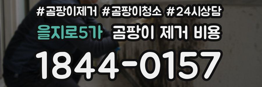 을지로5가 곰팡이 제거 비용