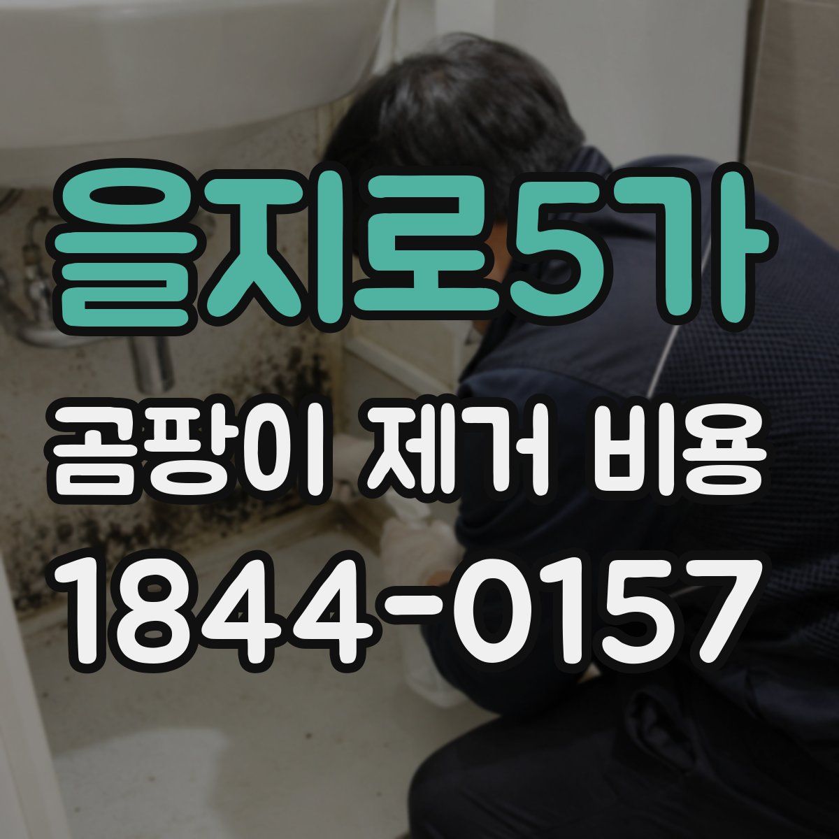 을지로5가 곰팡이 제거 비용