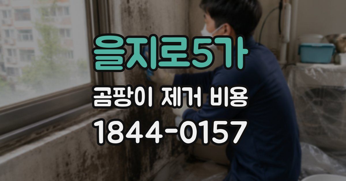 을지로5가 곰팡이 제거 비용