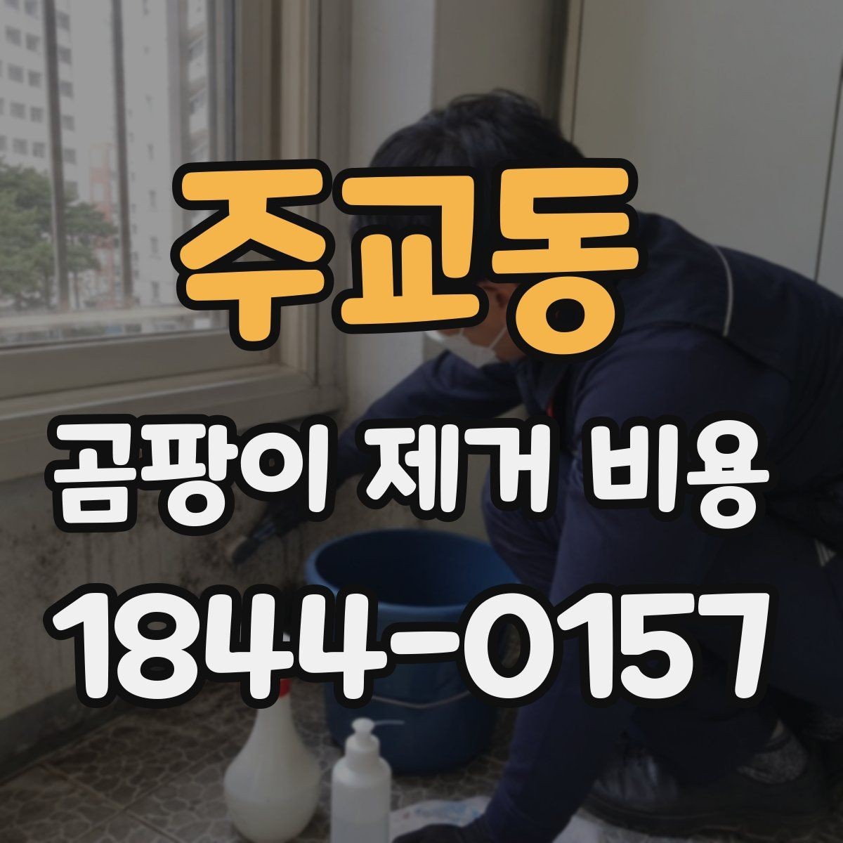 주교동 곰팡이 제거 비용 냄새 제거와 원인 차단을 함께 볼 때