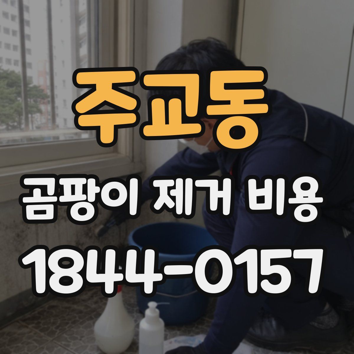 주교동 곰팡이 제거 비용