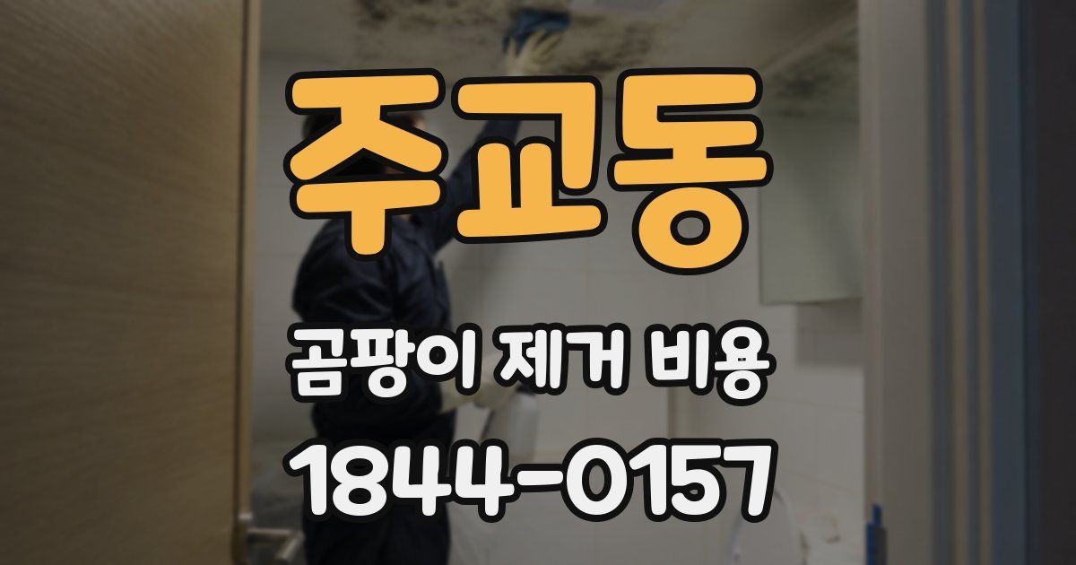 주교동 곰팡이 제거 비용