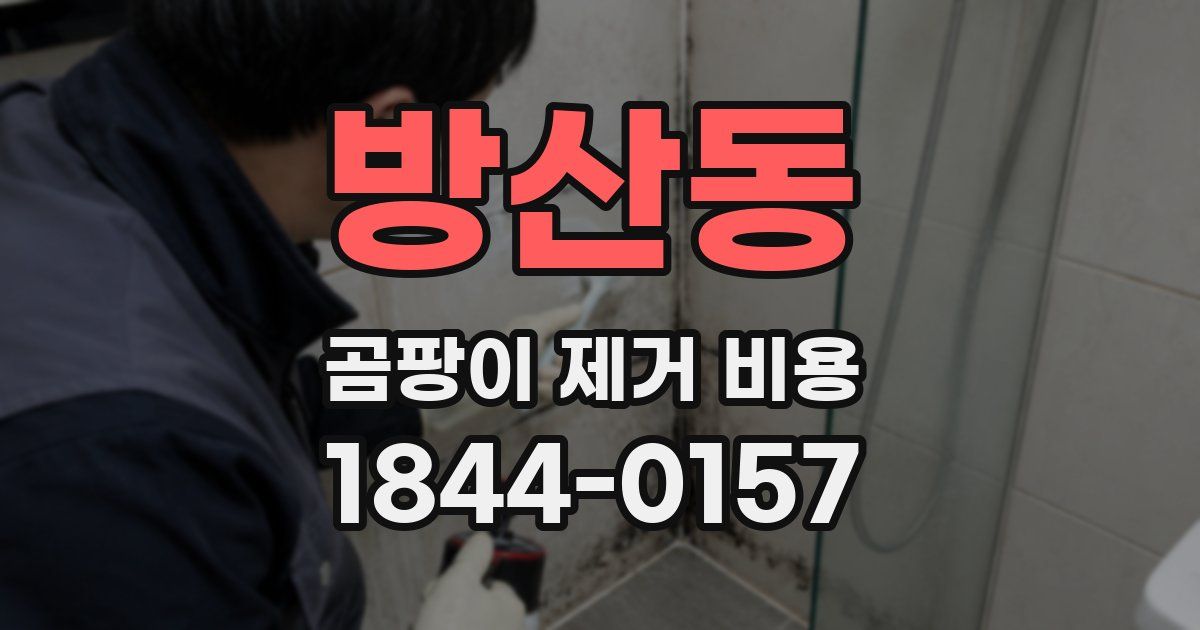 방산동 곰팡이 제거 비용