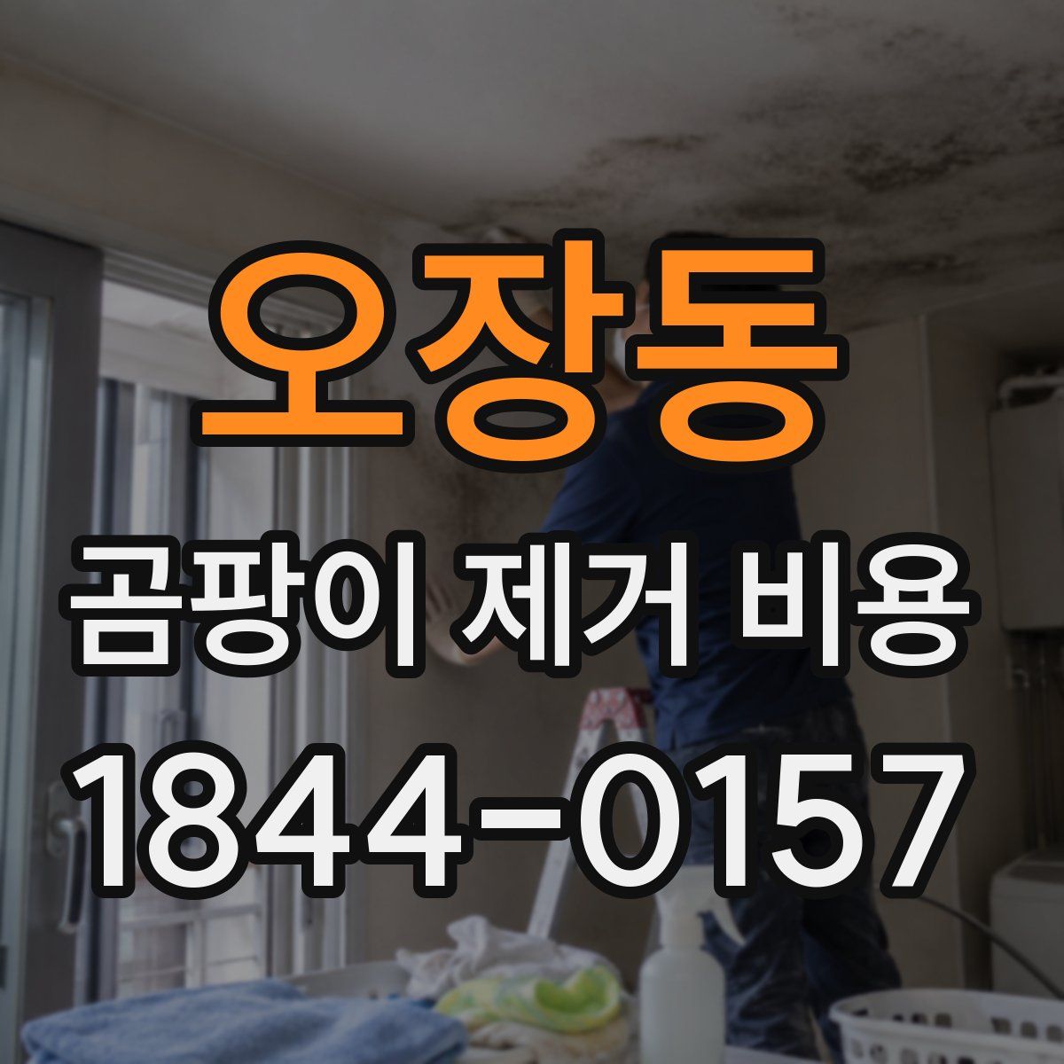 오장동 곰팡이 제거 비용