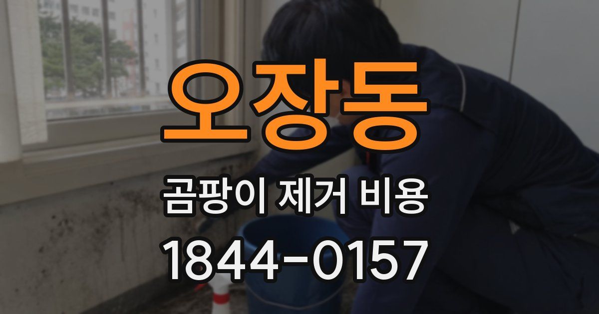 오장동 곰팡이 제거 비용