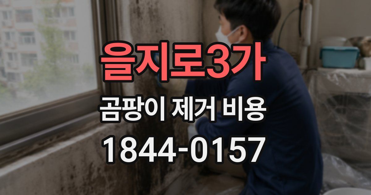을지로3가 곰팡이 제거 비용