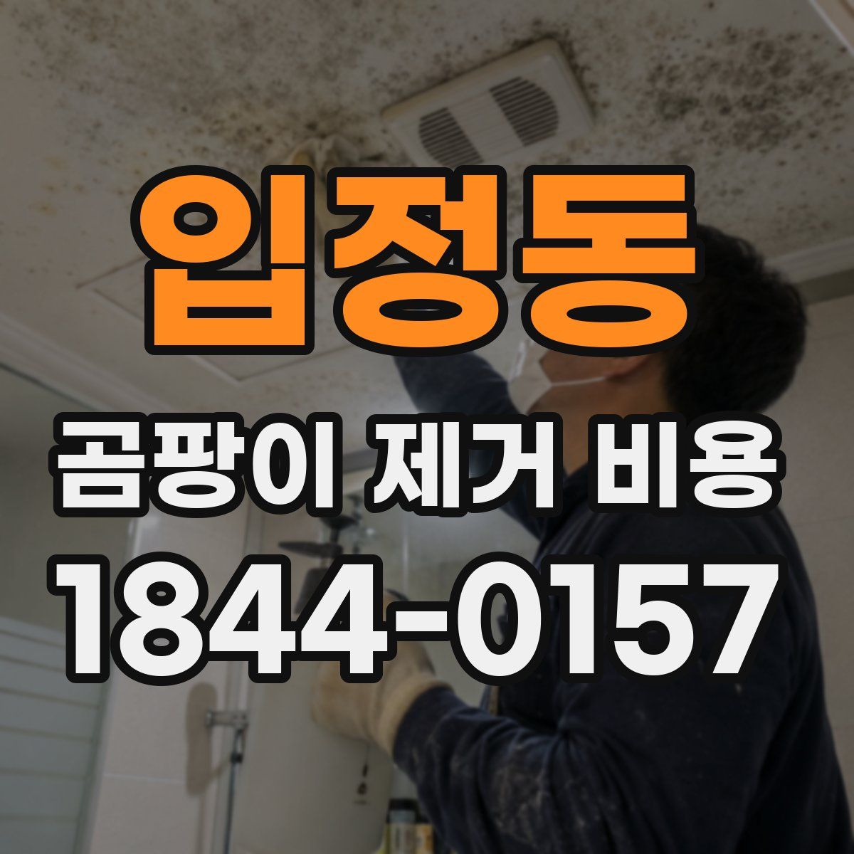 입정동 곰팡이 제거 비용