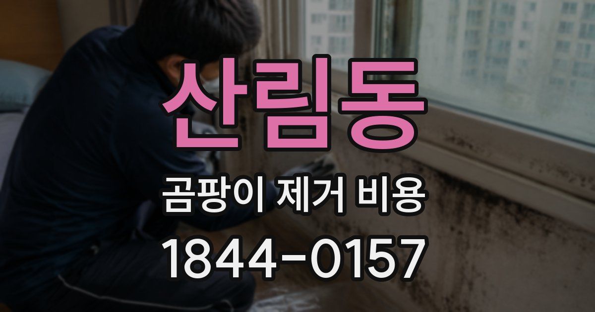 산림동 곰팡이 제거 비용