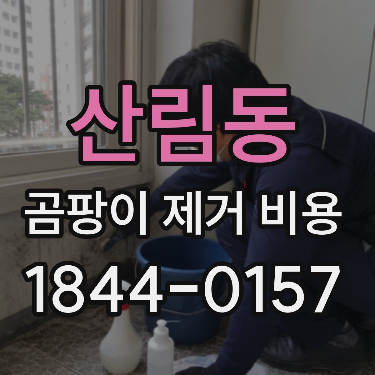 산림동 곰팡이 제거 비용