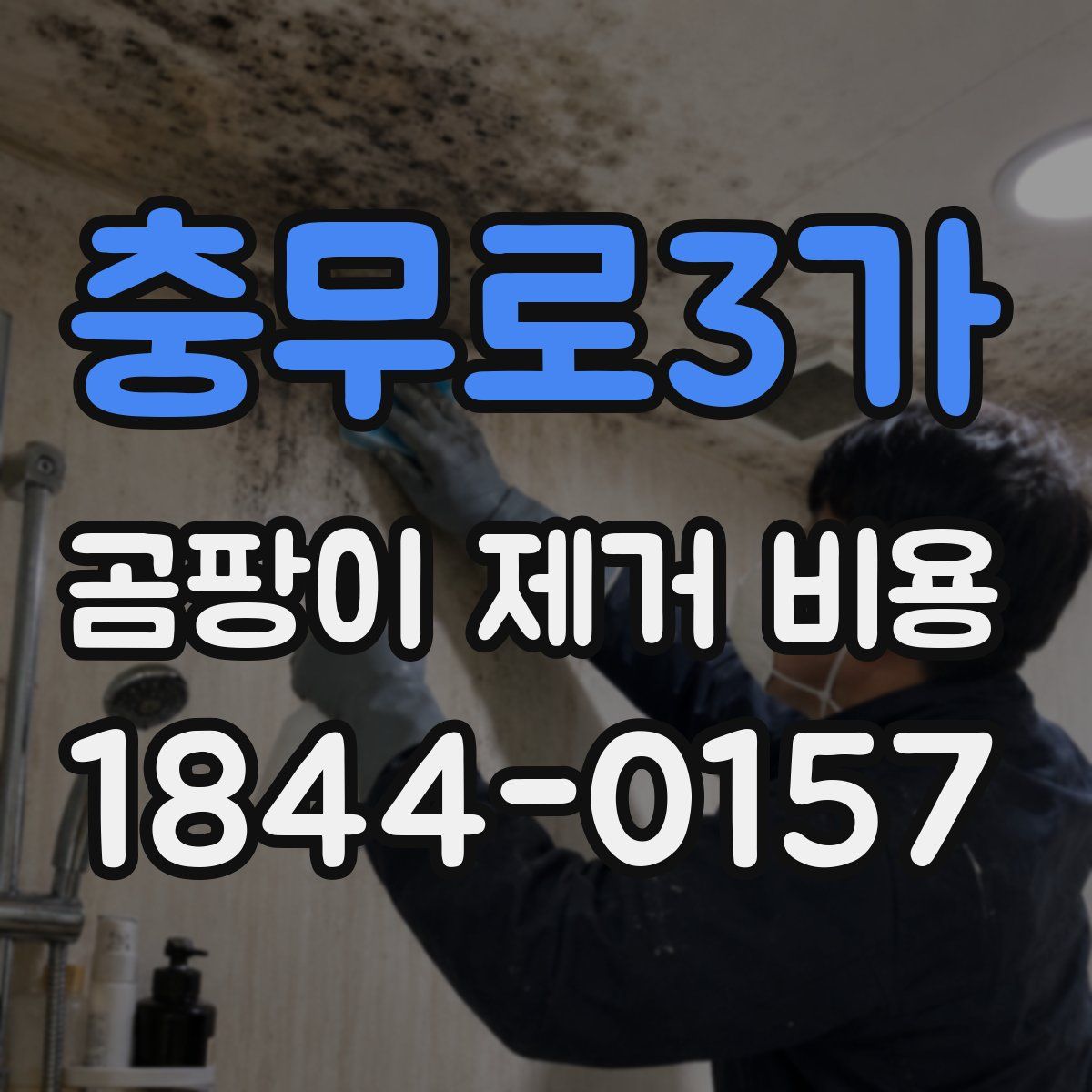 충무로3가 곰팡이 제거 비용