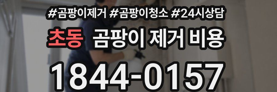 초동 곰팡이 제거 비용