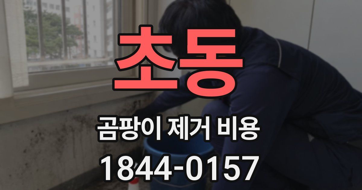 초동 곰팡이 제거 비용