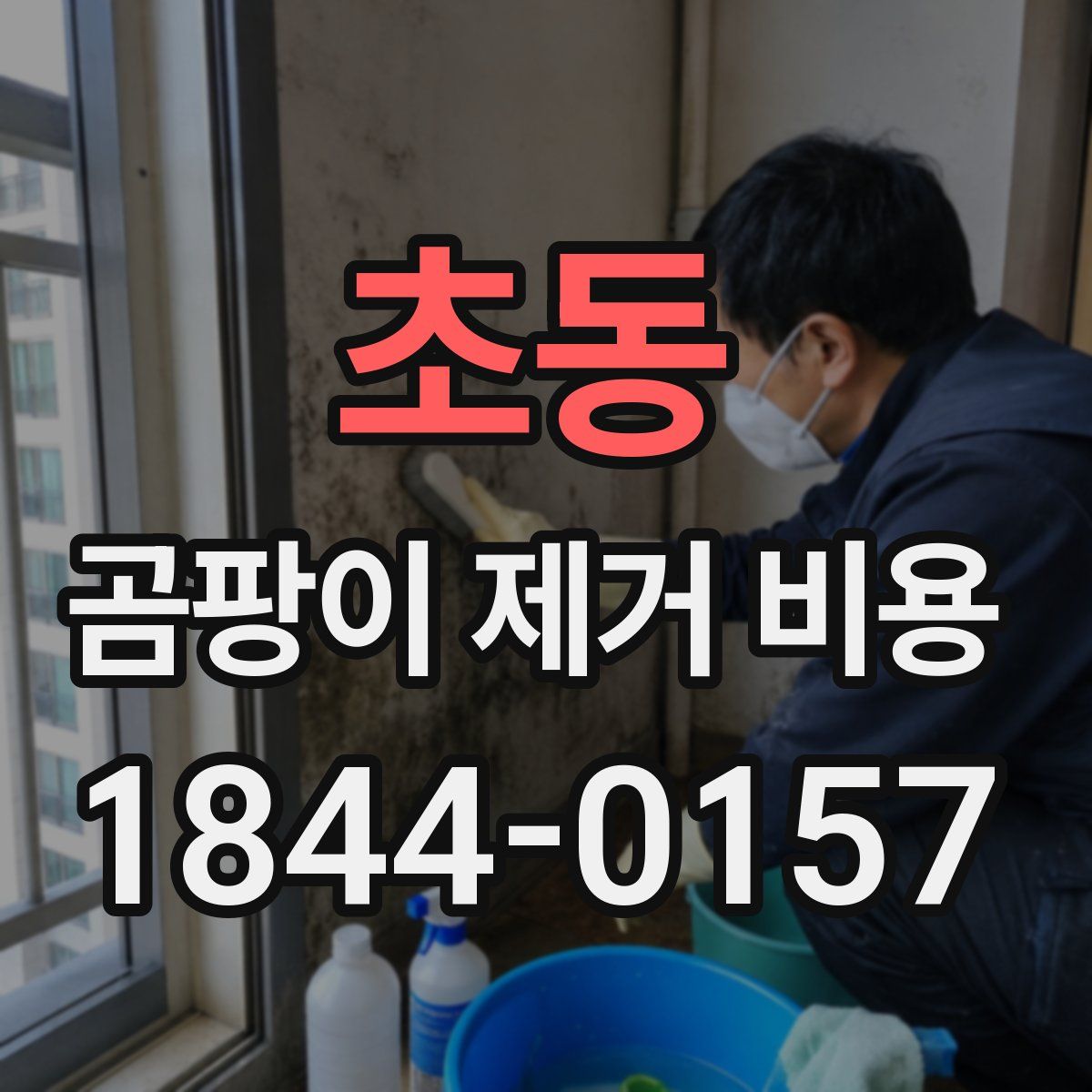 초동 곰팡이 제거 비용