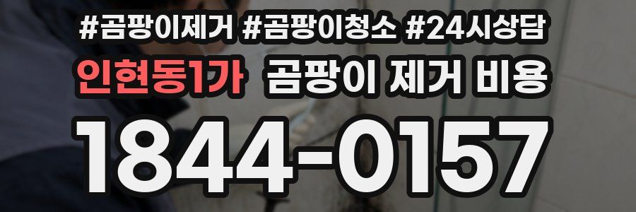 인현동1가 곰팡이 제거 비용