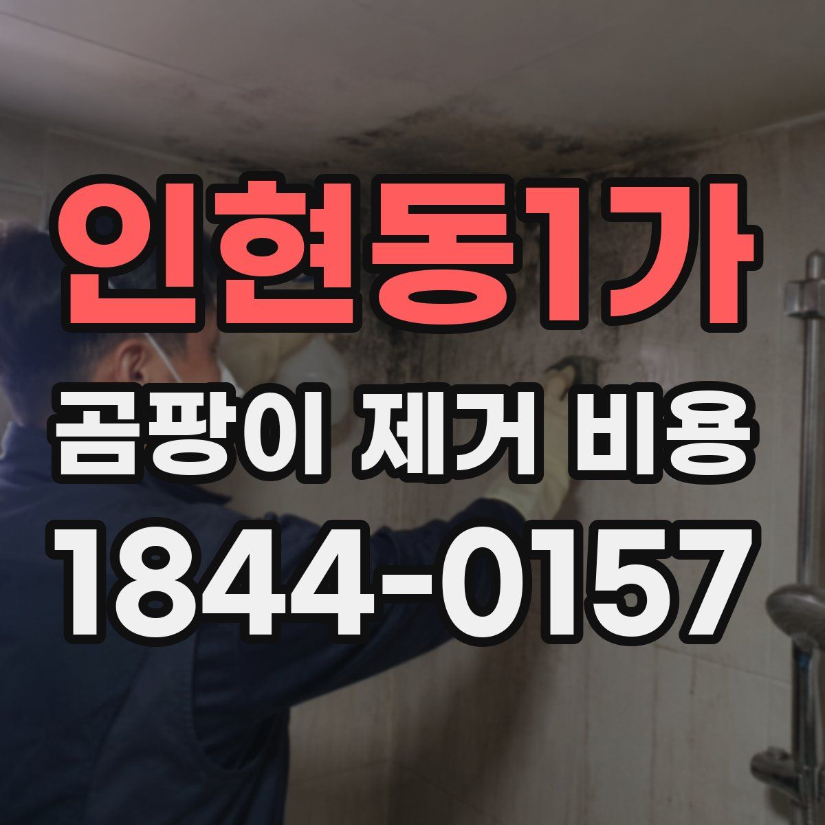 인현동1가 곰팡이 제거 비용