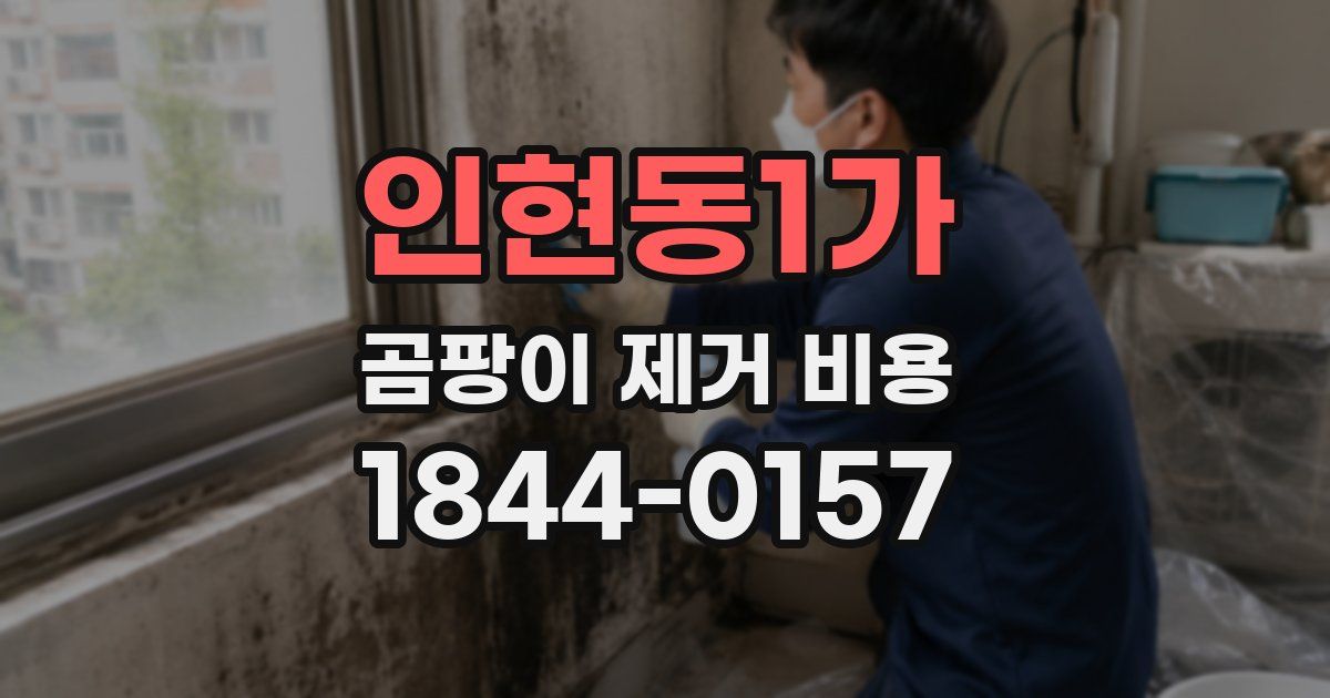인현동1가 곰팡이 제거 비용