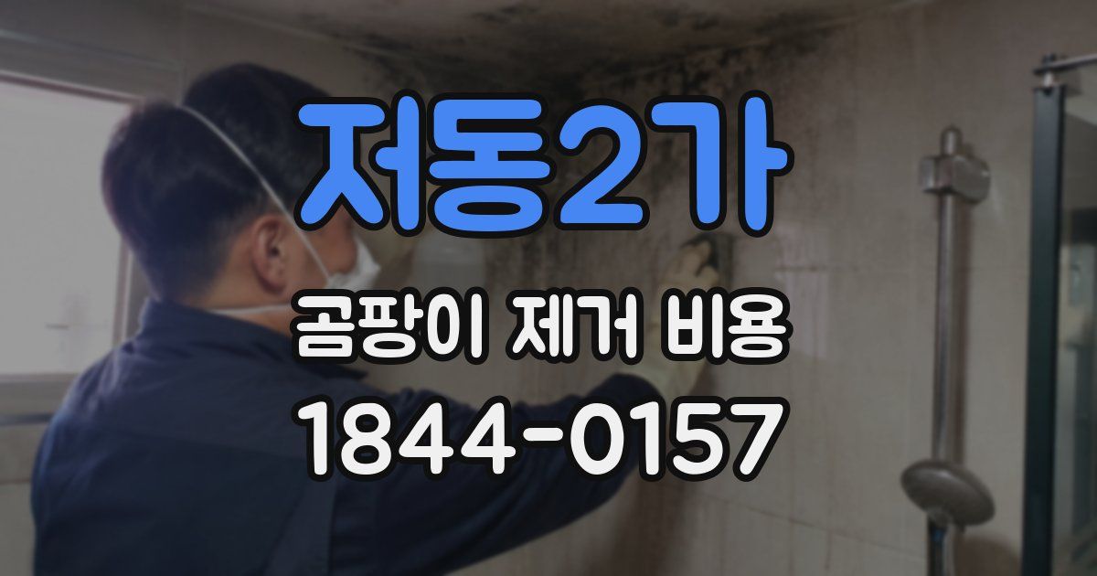 저동2가 곰팡이 제거 비용
