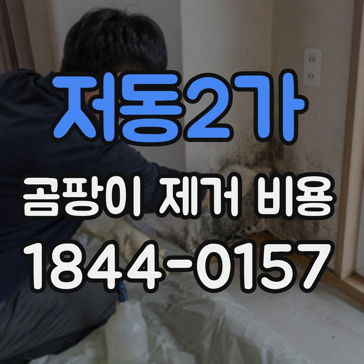 저동2가 곰팡이 제거 비용