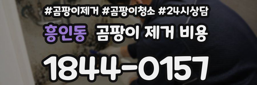 흥인동 곰팡이 제거 비용