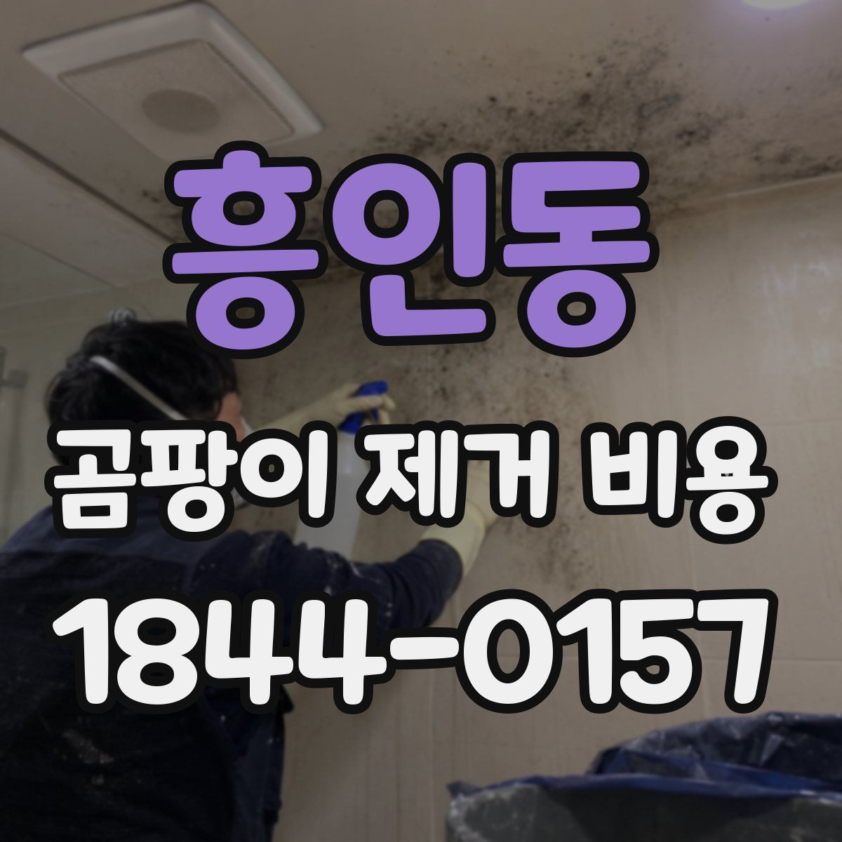 흥인동 곰팡이 제거 비용