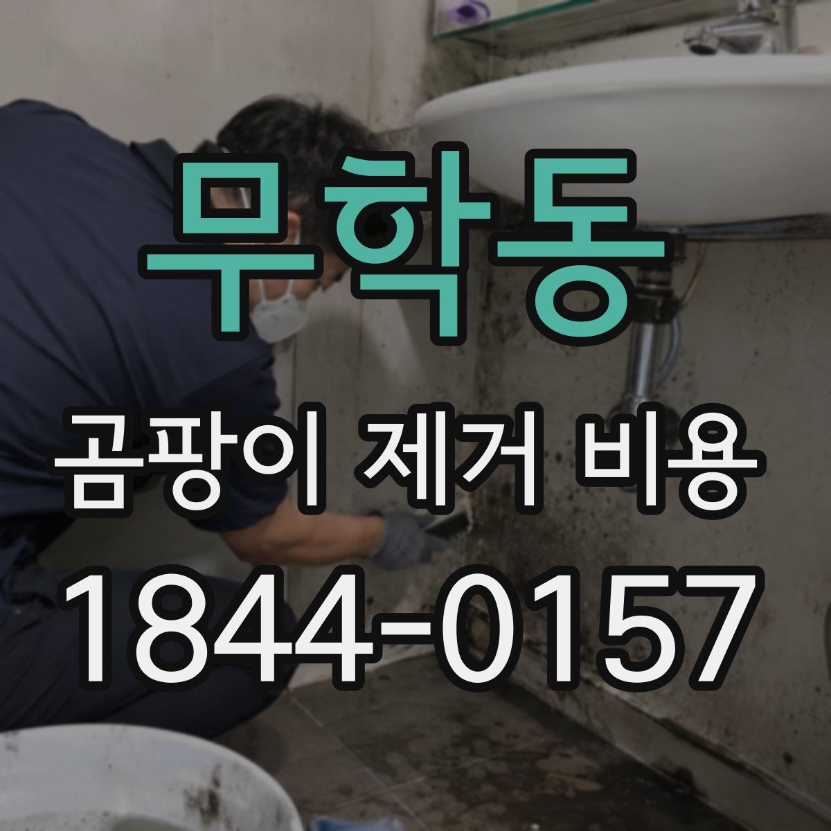무학동 곰팡이 제거 비용