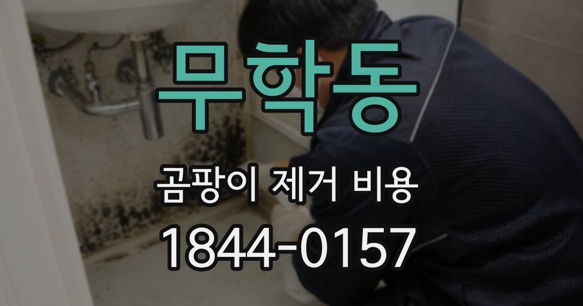 무학동 곰팡이 제거 비용
