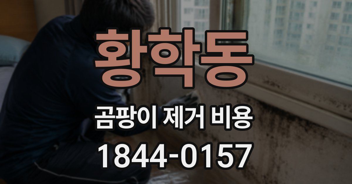 황학동 곰팡이 제거 비용