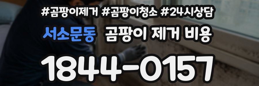서소문동 곰팡이 제거 비용