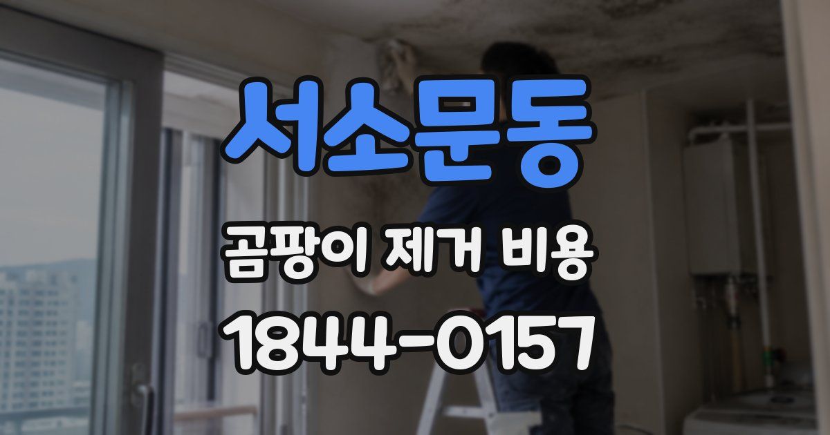 서소문동 곰팡이 제거 비용