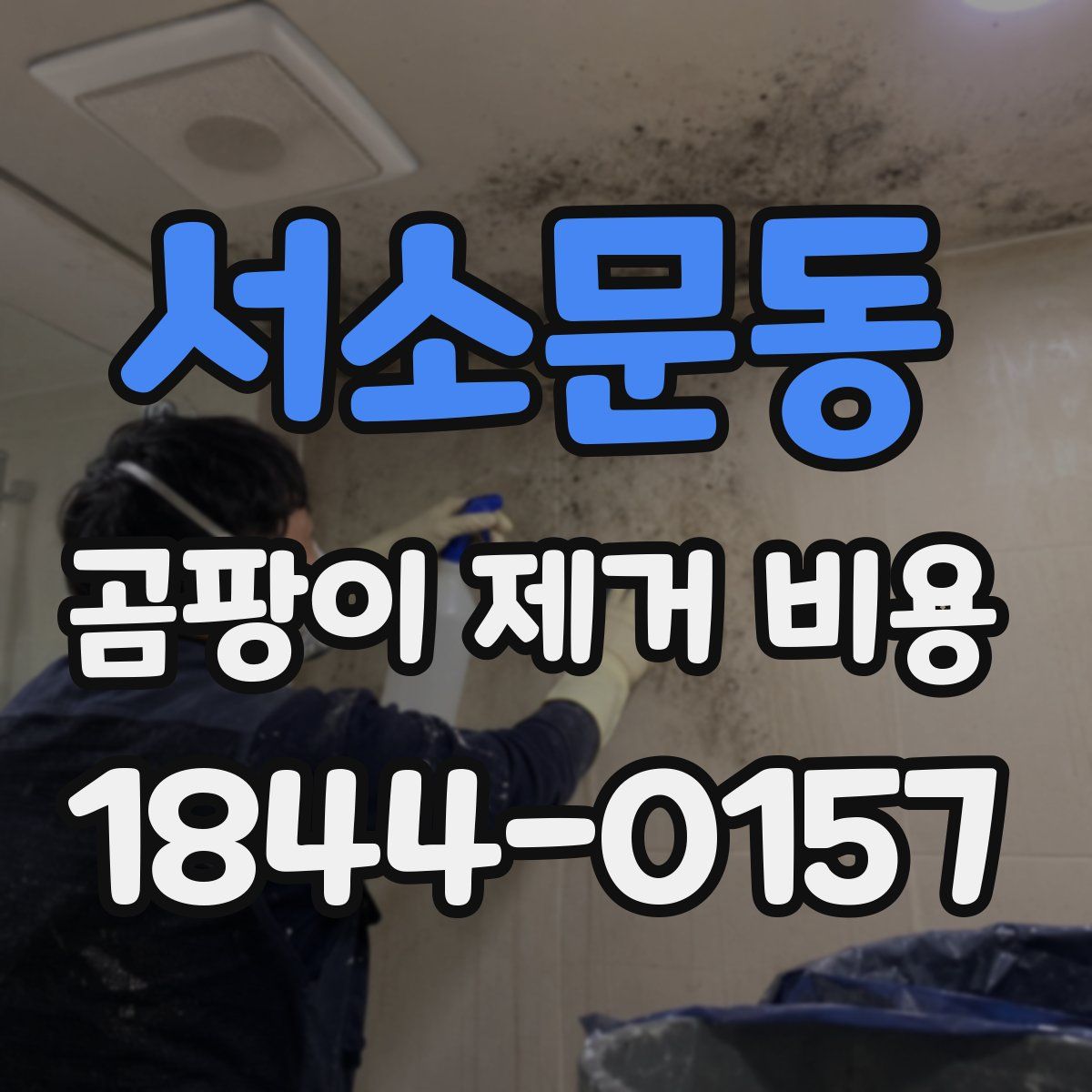 서소문동 곰팡이 제거 비용