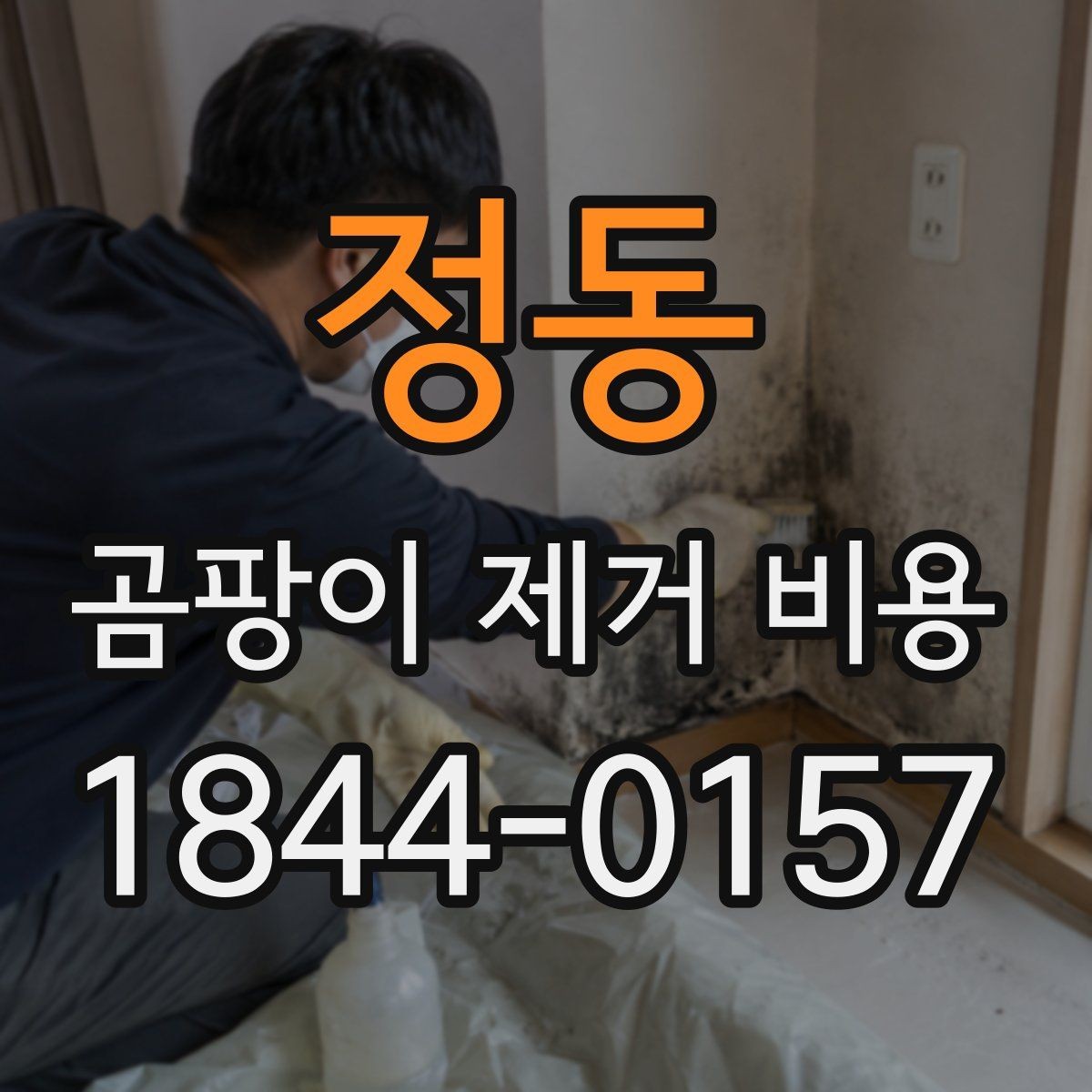 정동 곰팡이 제거 비용 가구 오염과 벽면 오염이 함께 있을 때