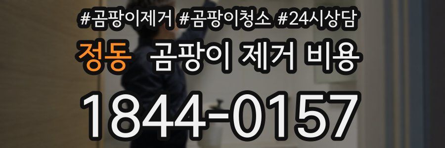 정동 곰팡이 제거 비용